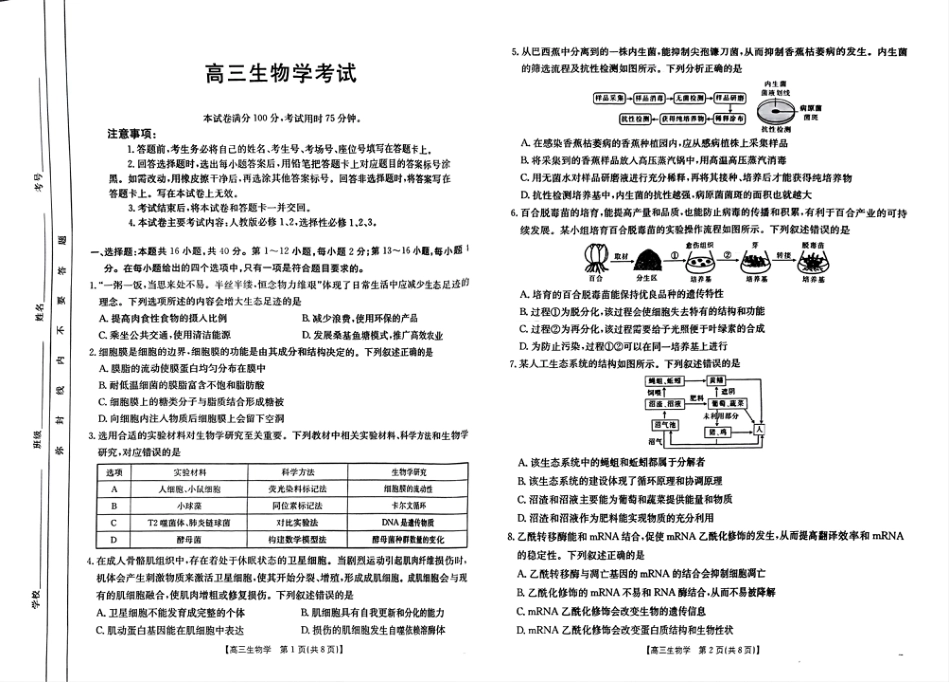 四川2024-2025学年高三上学期9月开学考试生物试卷.pdf_第1页