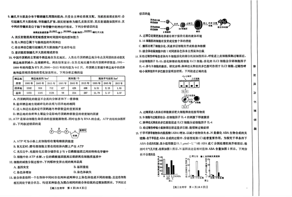 四川2024-2025学年高三上学期9月开学考试生物试卷.pdf_第2页