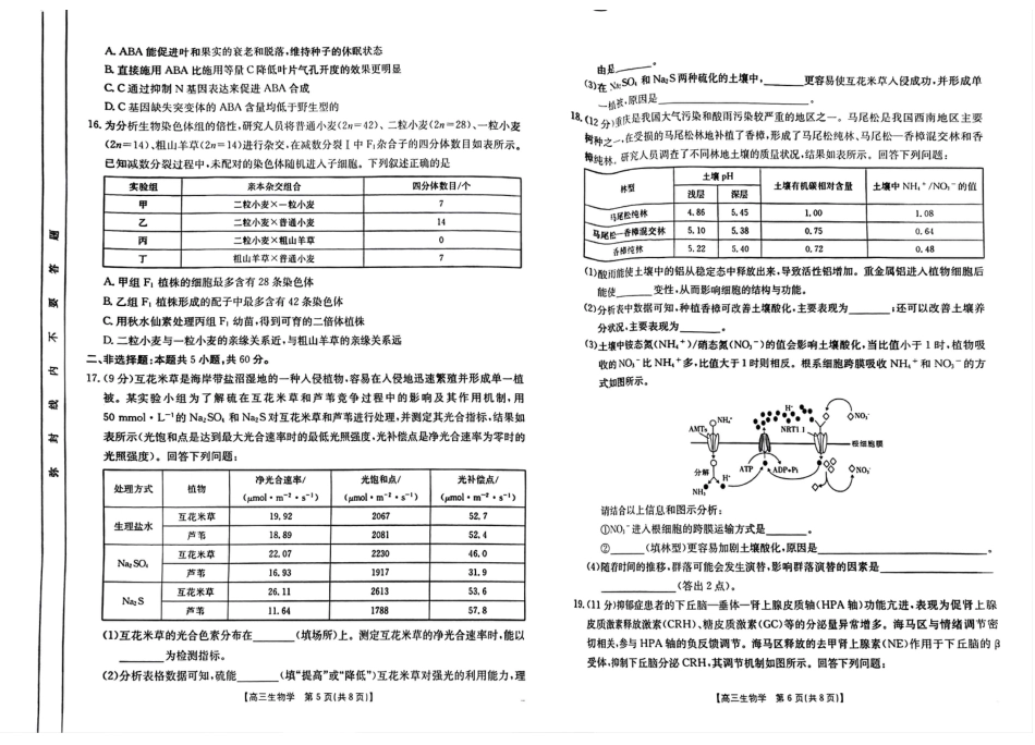 四川2024-2025学年高三上学期9月开学考试生物试卷.pdf_第3页