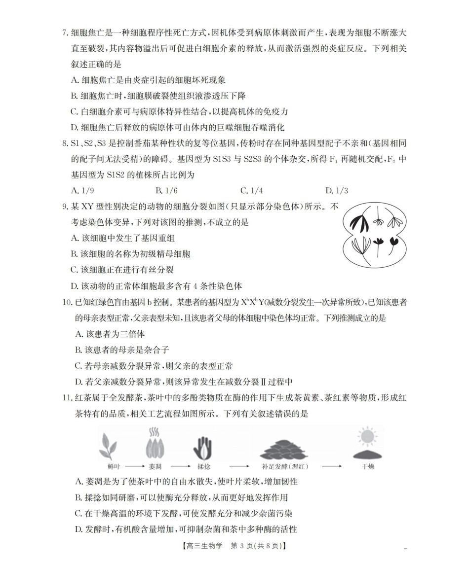 四川省2026届高三上学期10月联考-生物.pdf_第3页