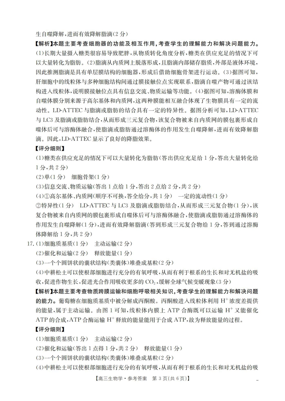 四川省2026届高三上学期10月联考-生物答案.pdf_第3页