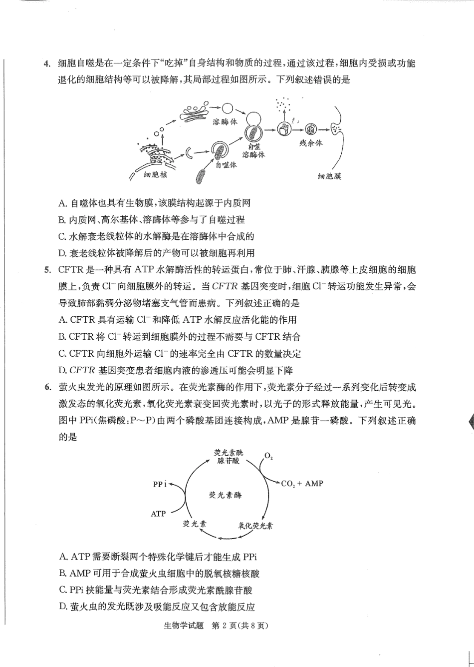 四川省成都市2023级高中毕业班摸底测试（成都零诊）生物.pdf_第2页
