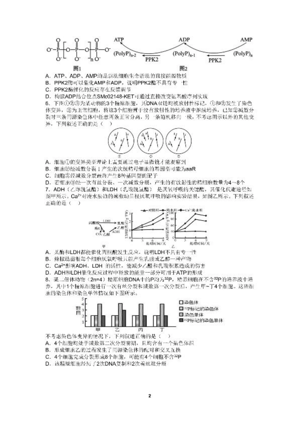 四川省成都市第七中学2024-2025学年高三上学期10月月考生物试题.pdf_第2页