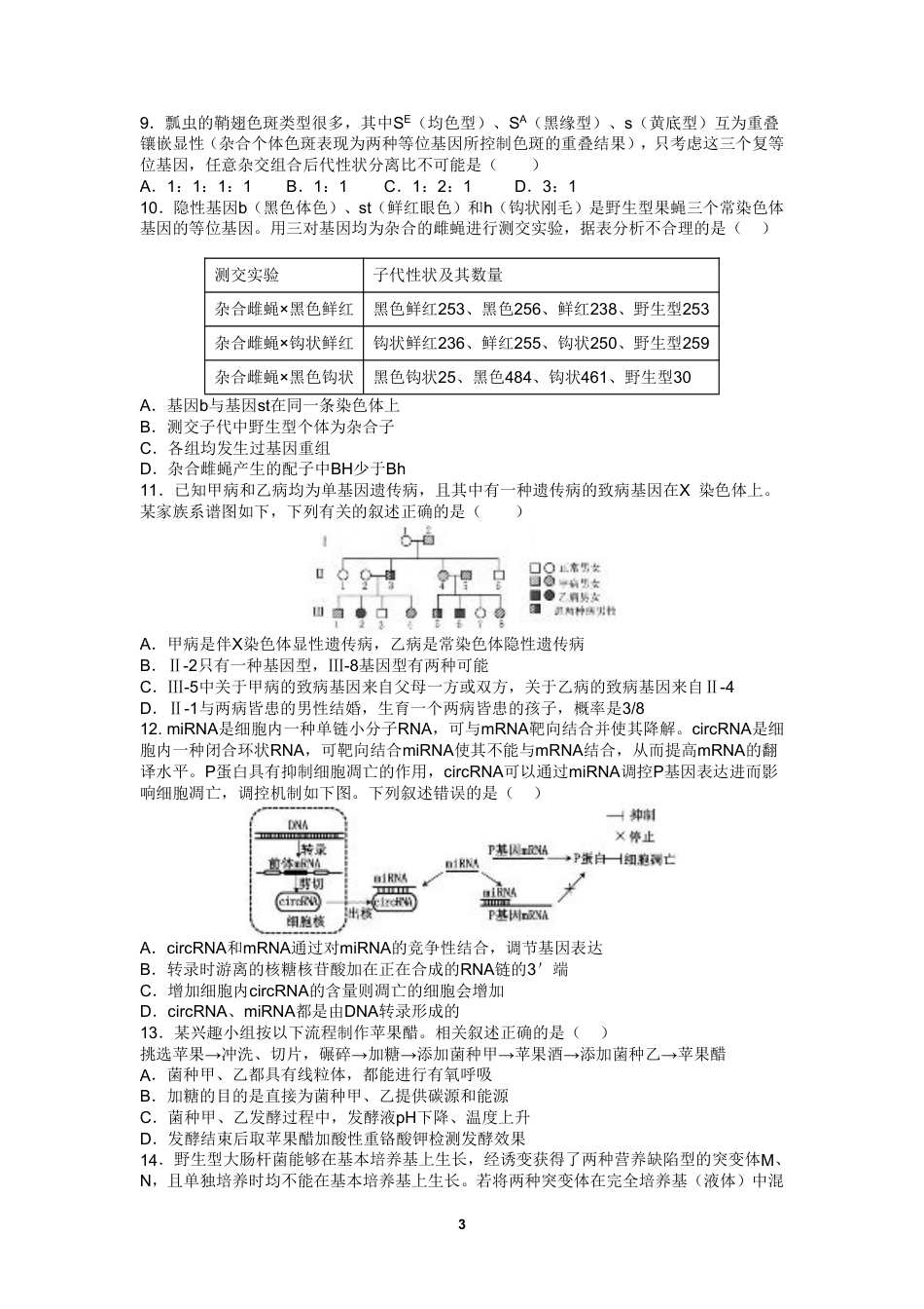 四川省成都市第七中学2024-2025学年高三上学期10月月考生物试题.pdf_第3页