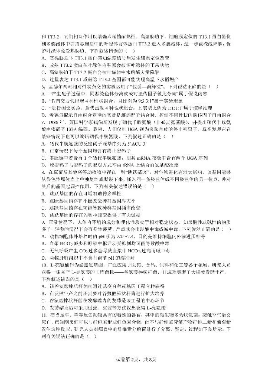 四川省成都市第七中学2024-2025学年高三上学期11月期中考试生物.pdf_第2页