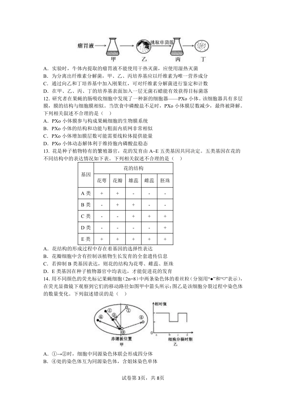 四川省成都市第七中学2024-2025学年高三上学期11月期中考试生物.pdf_第3页