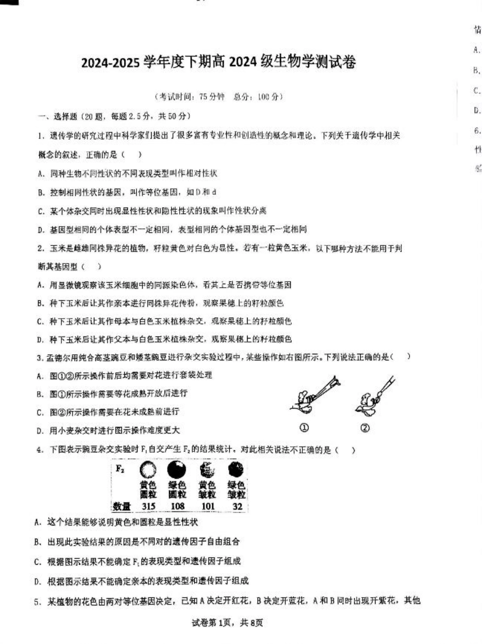 四川省成都市第七中学2024-2025学年高一下学期6月月考生物.pdf_第1页