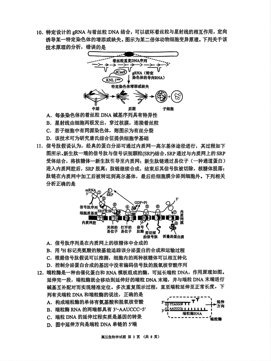 四川省成都市蓉城名校联盟2025届高三上学期第一次联合性诊断性考试生物.pdf_第3页