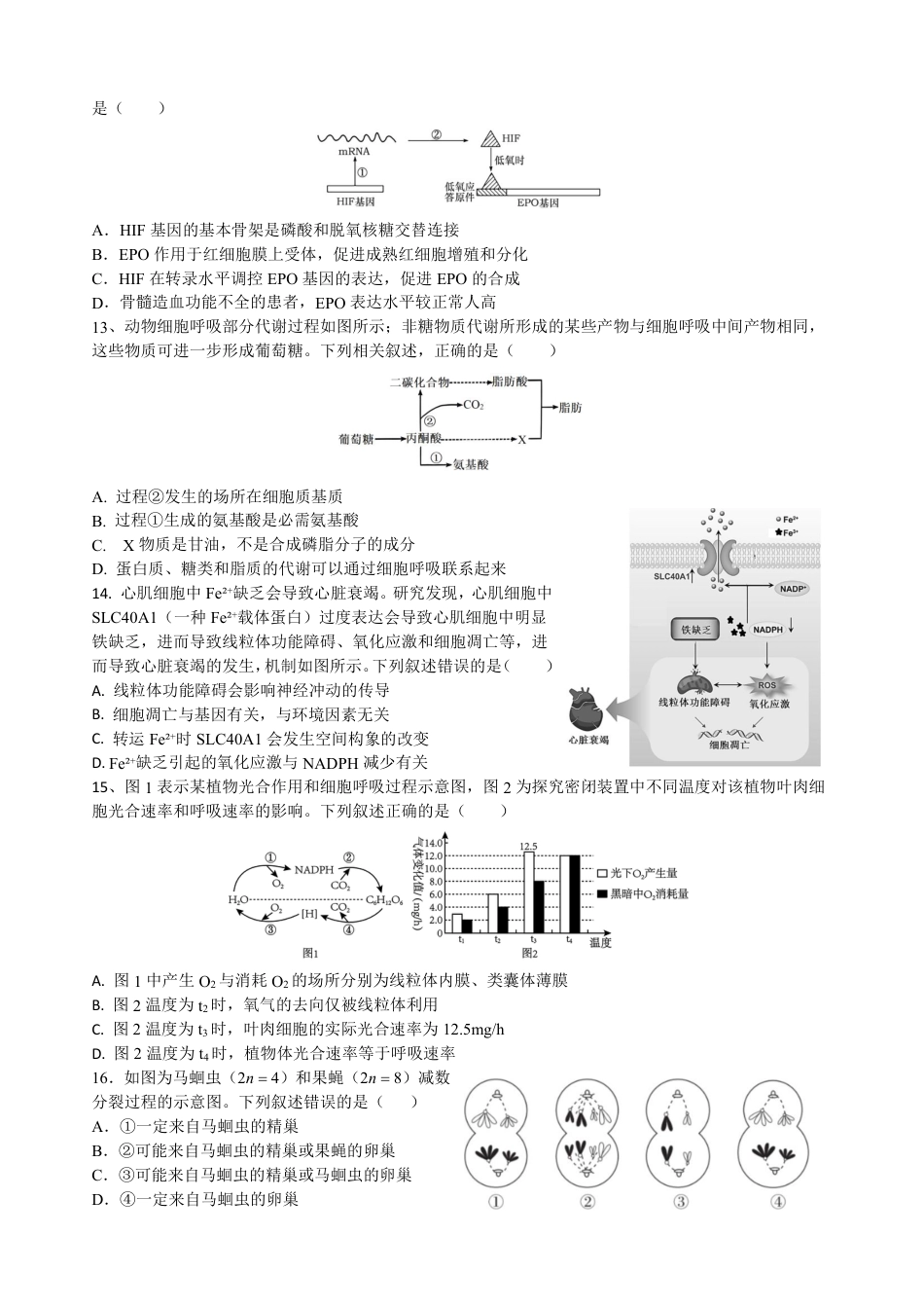 四川省成都市树德中学2024-2025学年高三上学期开学考试生物试题 PDF版含答案.pdf_第3页