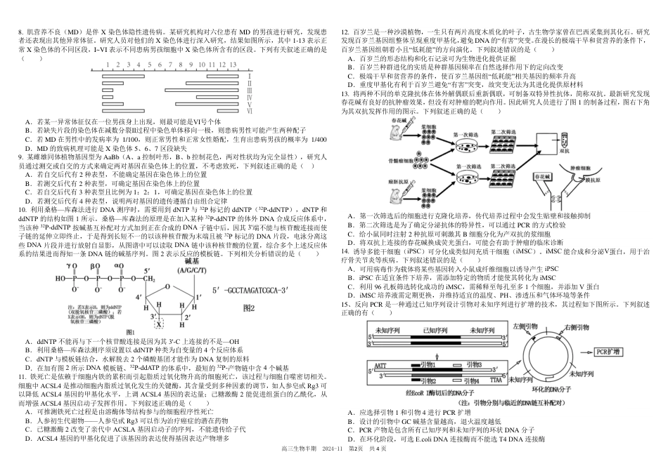 四川省成都市树德中学2024-2025学年高三上学期期中考试生物试题 扫描版含答案.pdf_第2页