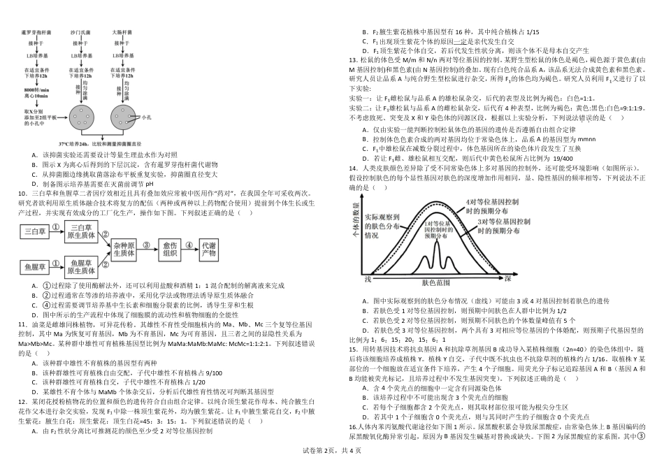 四川省成都市树德中学2025届高三上学期10月月考生物试题 扫描版含答案.pdf_第2页