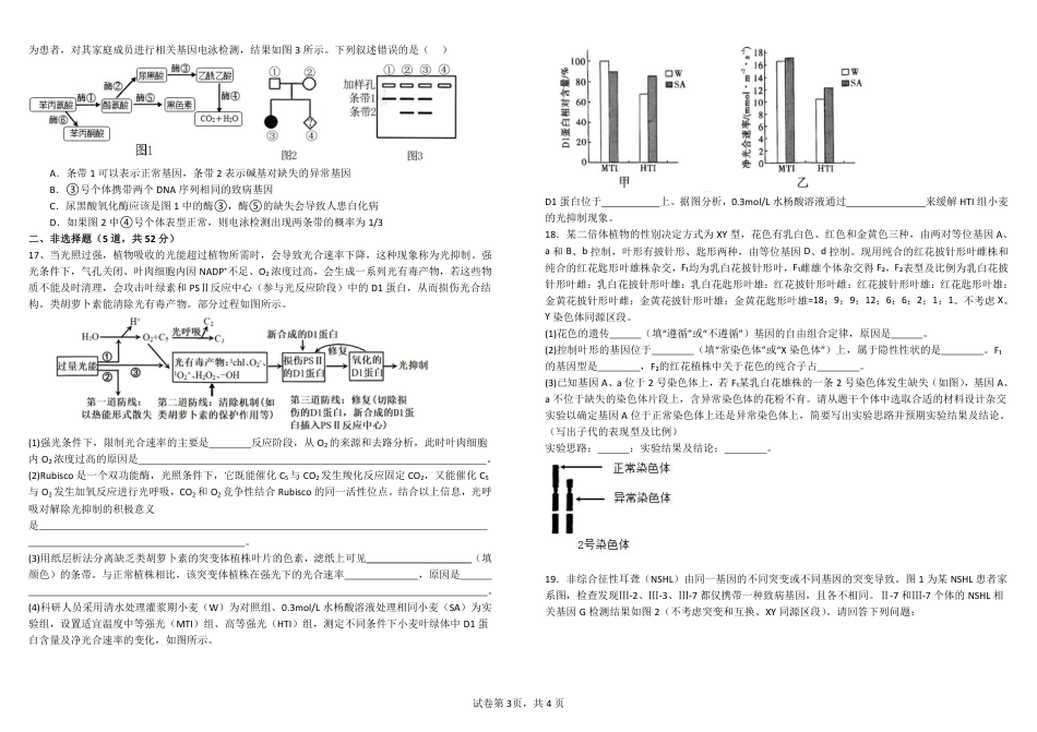 四川省成都市树德中学2025届高三上学期10月月考生物试题 扫描版含答案.pdf_第3页