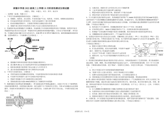 四川省成都市树德中学2025届高三上学期10月月考生物试题 扫描版含答案.pdf