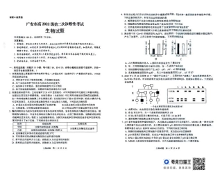 四川省广安市高2022级第二次诊断性考试生物.pdf