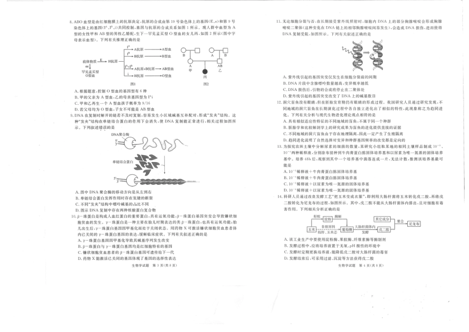 四川省九市2024-2025学年高三上学期（12月）第一次诊断性考试生物试卷+答案.pdf_第2页