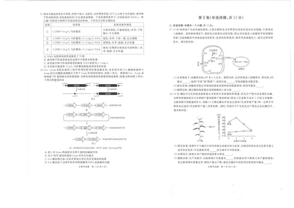 四川省九市2024-2025学年高三上学期（12月）第一次诊断性考试生物试卷+答案.pdf_第3页