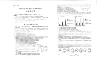 四川省九市2024-2025学年高三上学期（12月）第一次诊断性考试生物试卷+答案.pdf