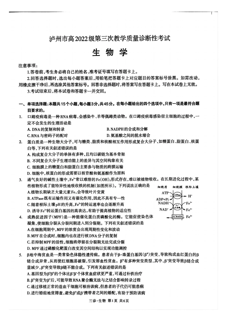 四川省泸州市高2022级第三次教学质量诊断性考试生物.pdf_第1页