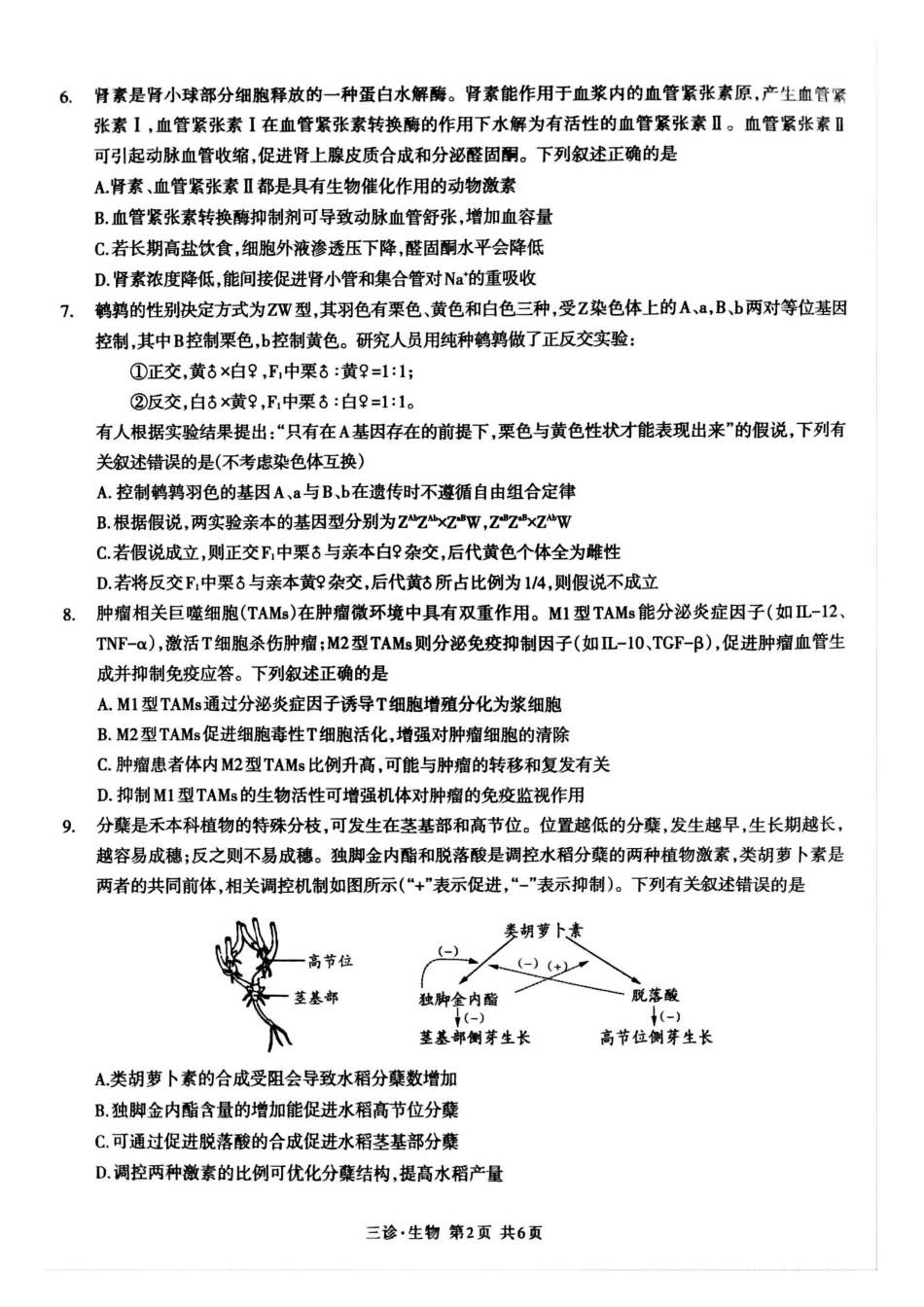 四川省泸州市高2022级第三次教学质量诊断性考试生物.pdf_第2页