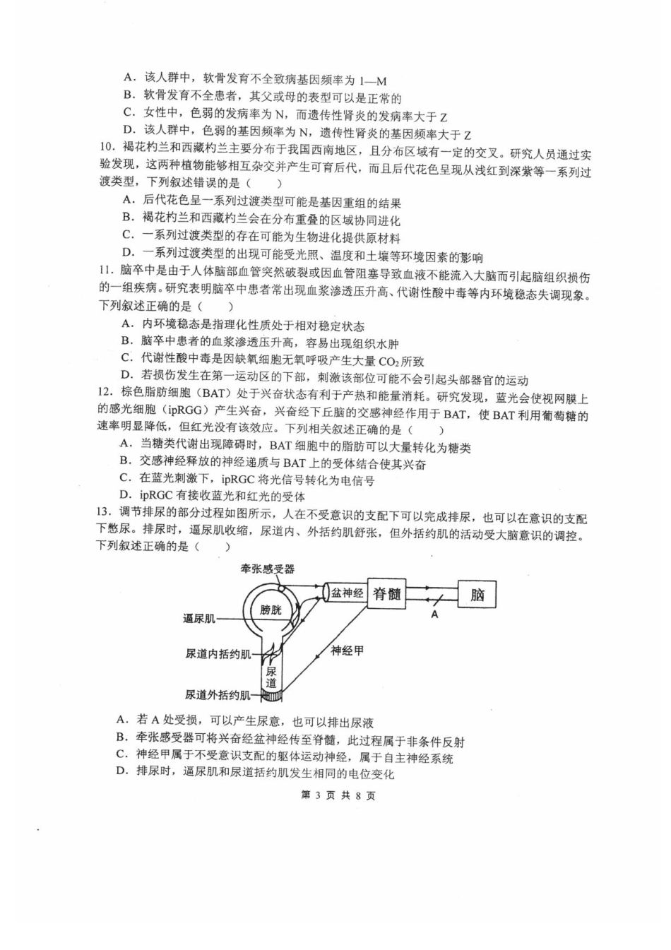 四川省绵阳中学2024-2025学年高三上学期12月月考生物试题.pdf_第3页