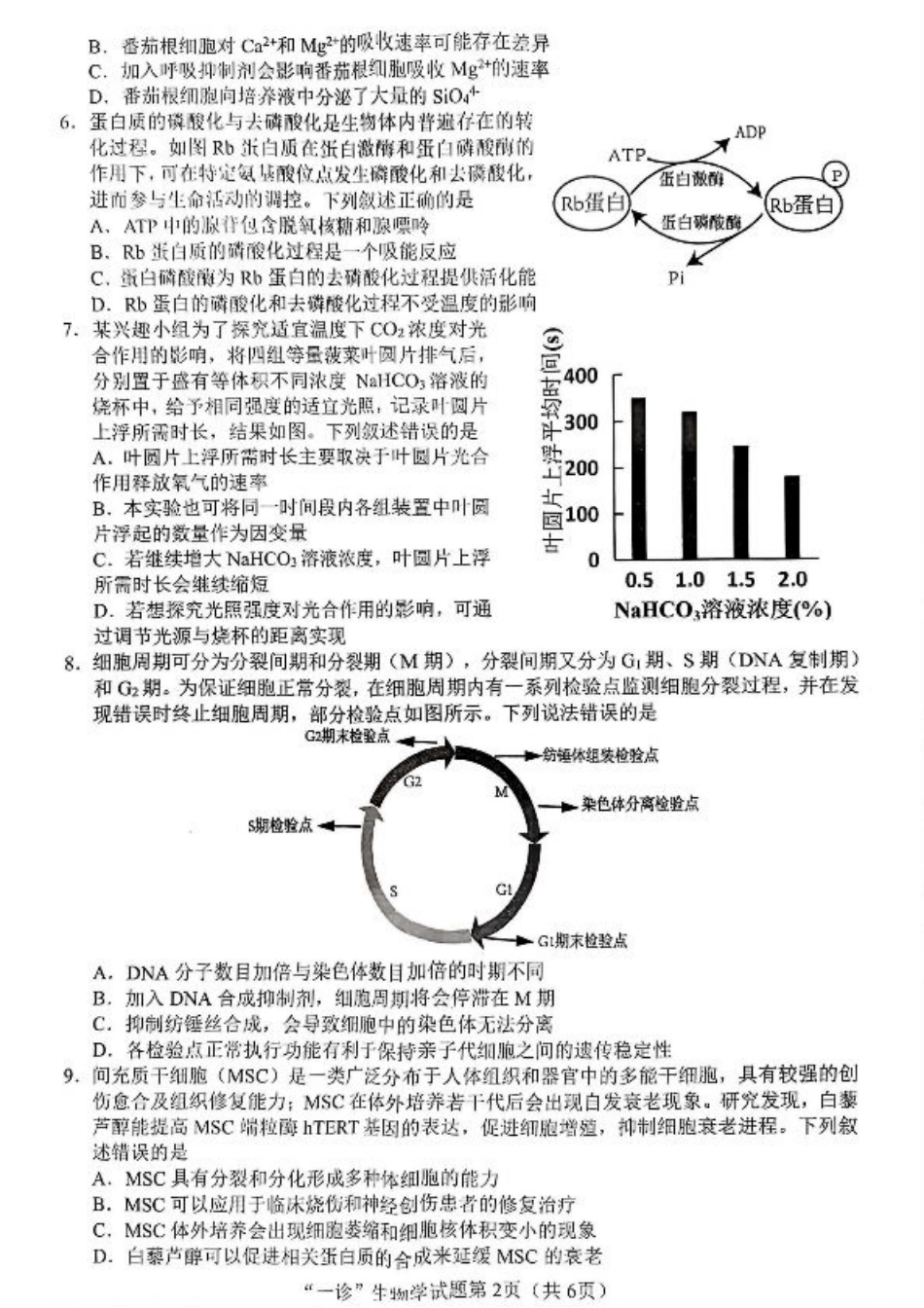 四川省南充市2025届高三高考适应性考试（一诊）生物试题.pdf_第2页