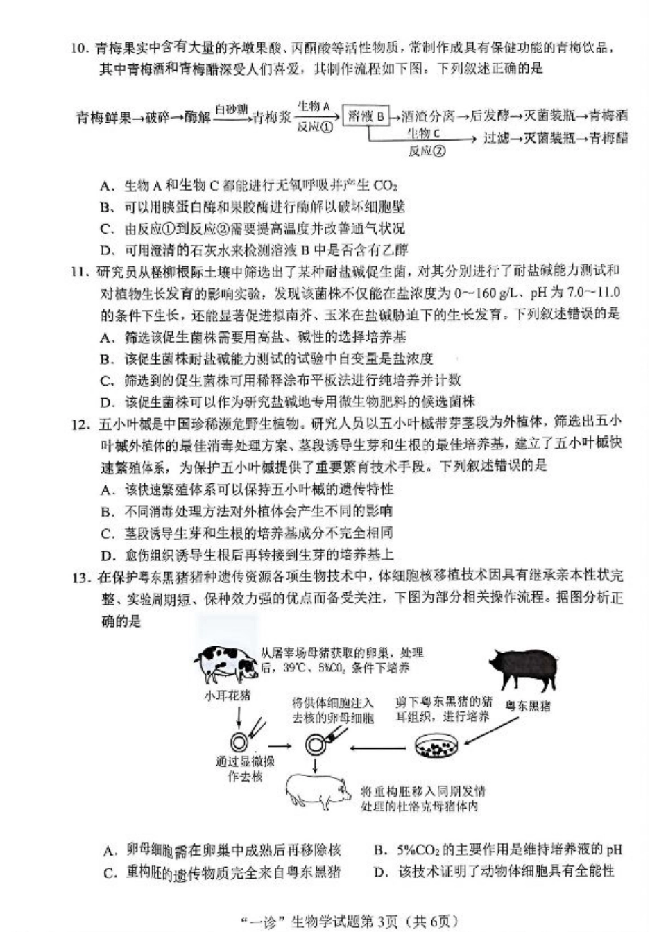 四川省南充市2025届高三高考适应性考试（一诊）生物试题.pdf_第3页