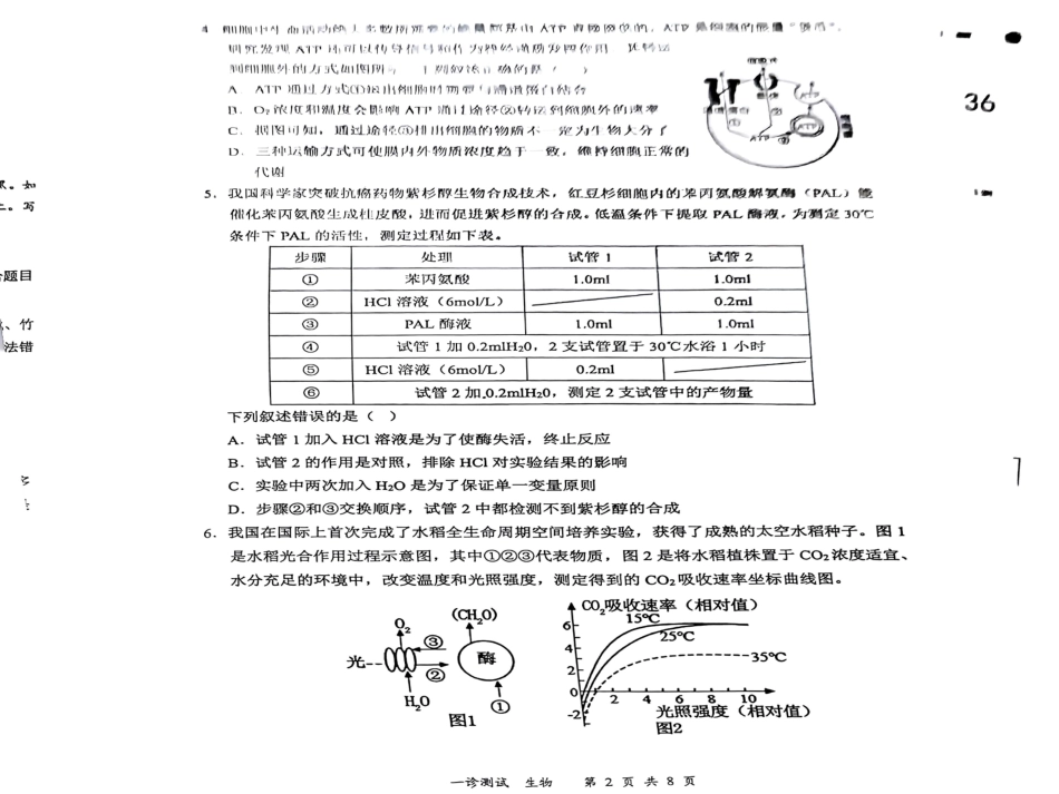 四川省宜宾市2025届高三第一次诊断性考试生物.pdf_第2页