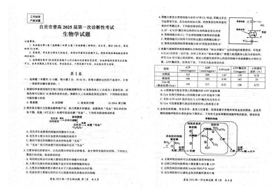 四川省自贡市普高2025届第一次诊断性考试生物.pdf_第1页