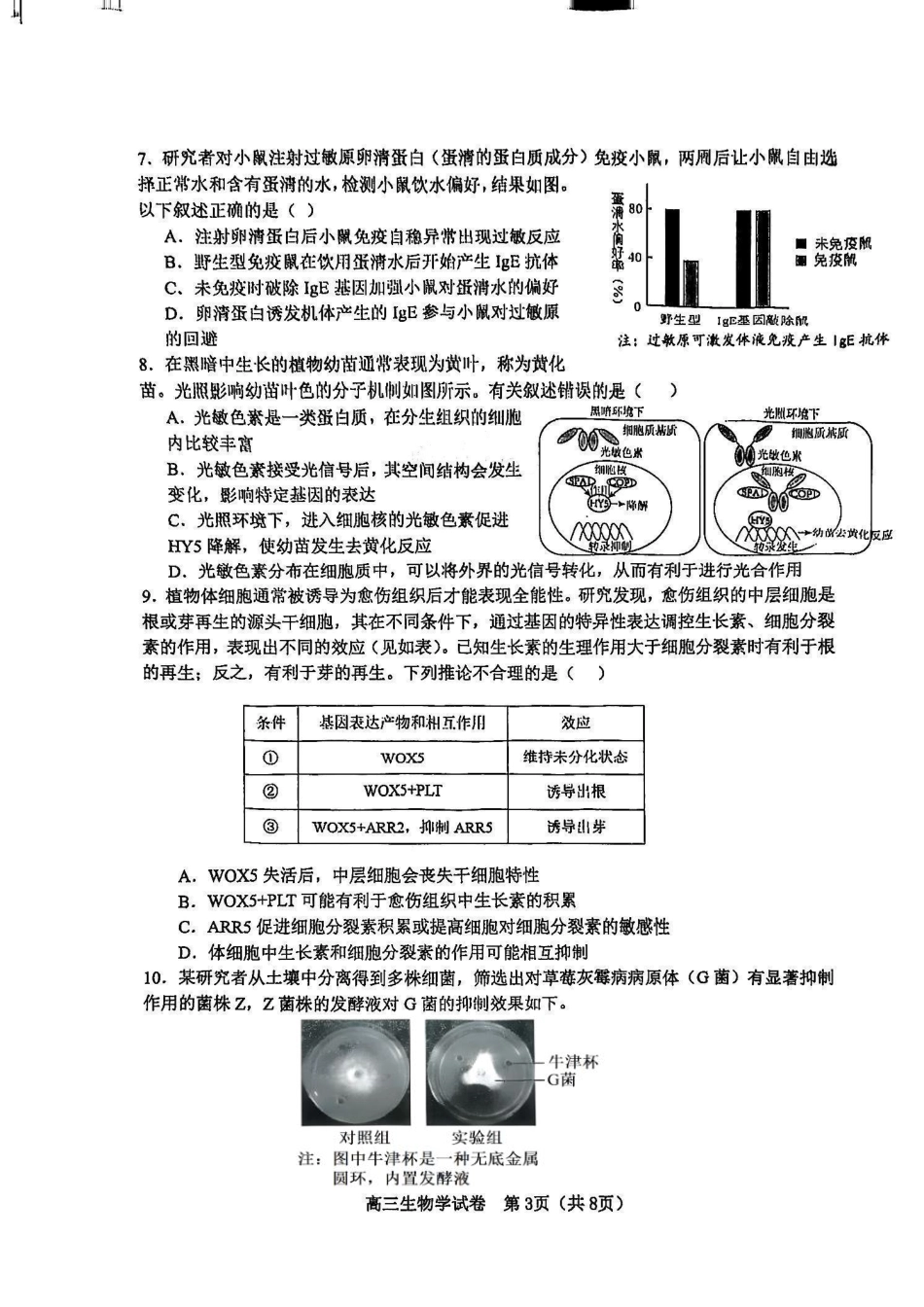 天津市河东区2024-2025学年高三上学期期末质量检测生物+答案.pdf_第3页