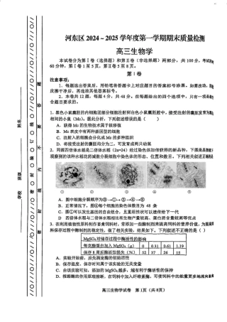 天津市河东区2024-2025学年高三上学期期末质量检测生物+答案.pdf