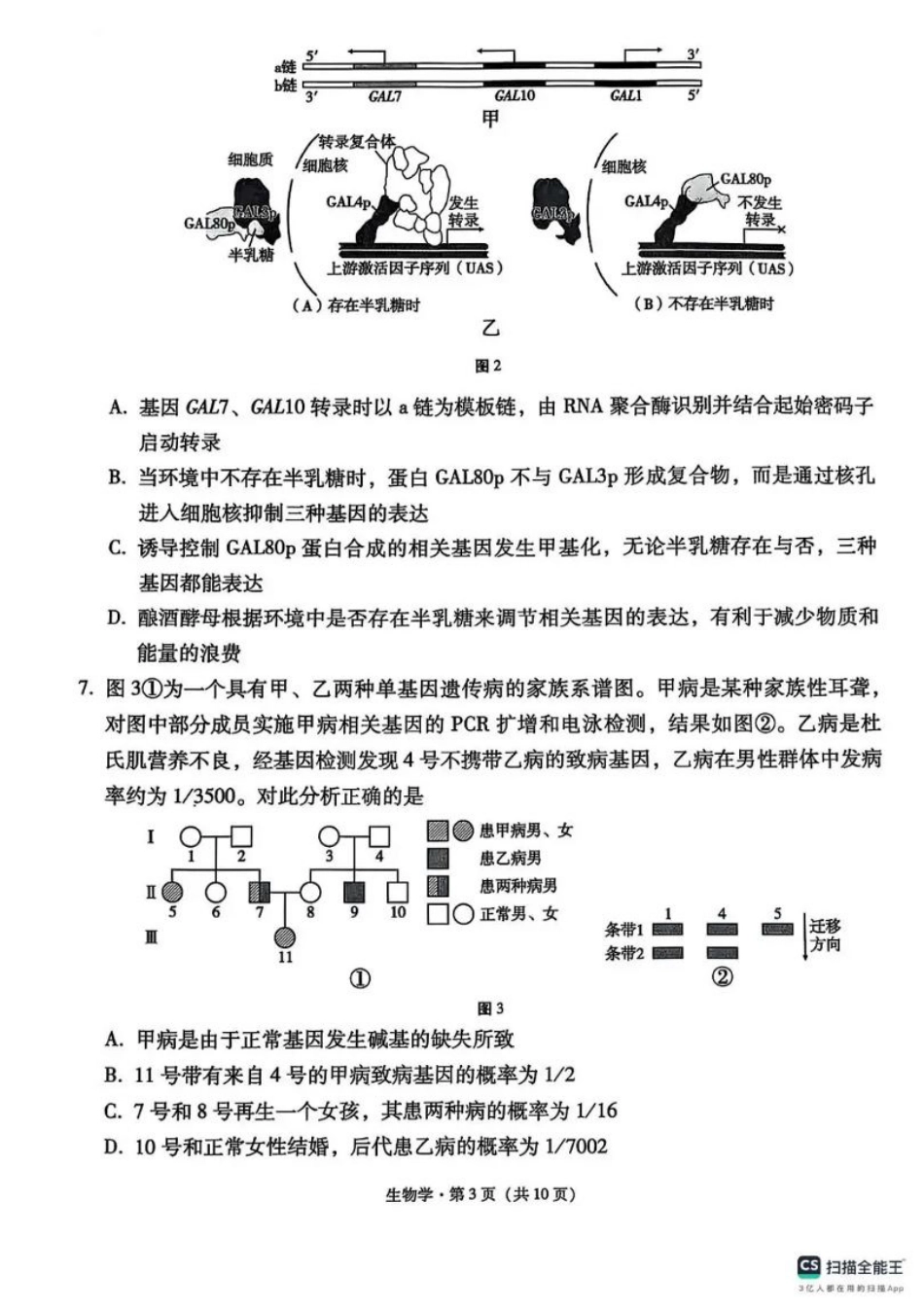 西南名校联盟2025届高三下学期“3+3+3”高考备考诊断性联考（三）生物.pdf_第3页