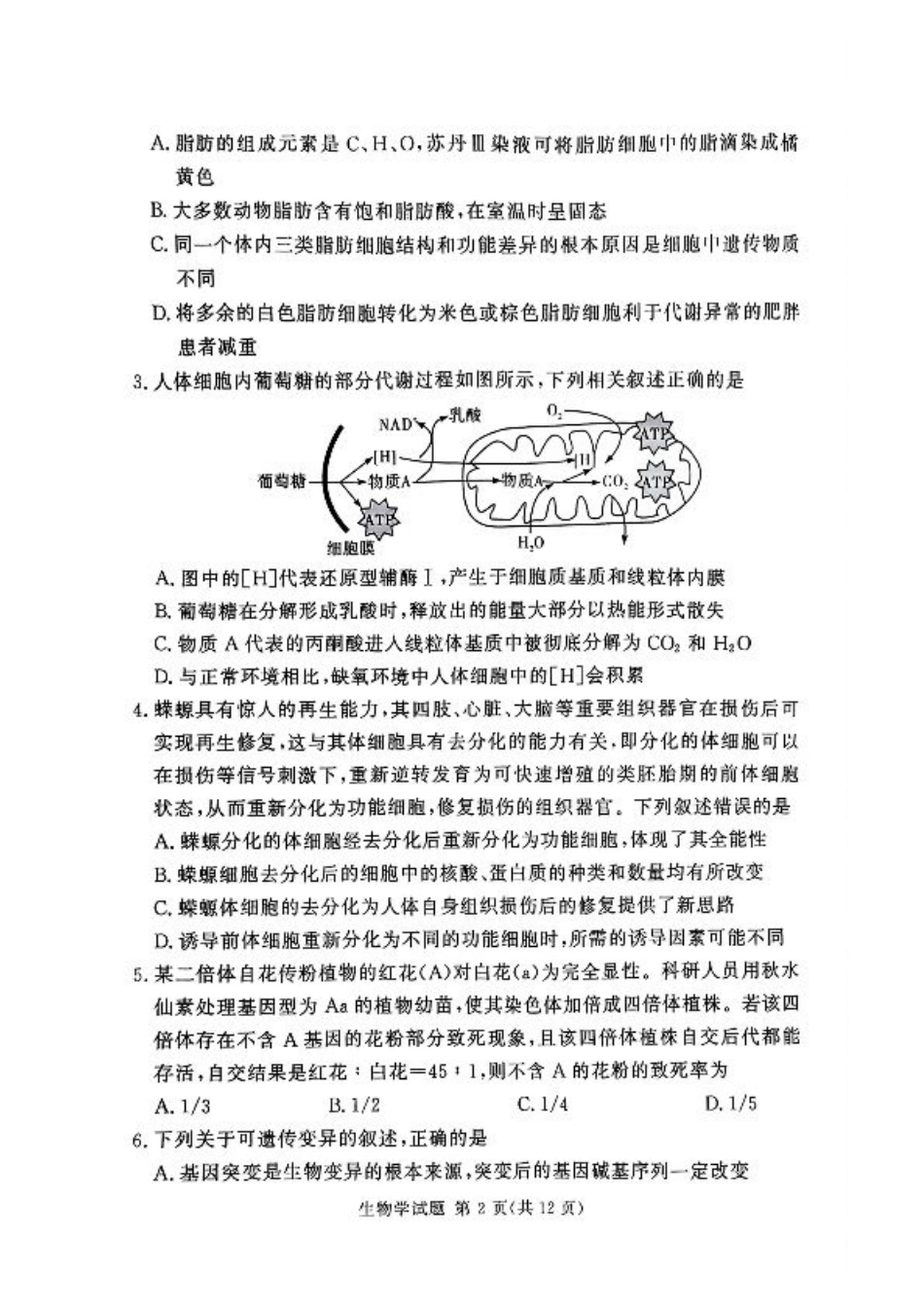 湘豫名校联考2024-2025学年高三春季学期第二次模拟考试生物.pdf_第2页