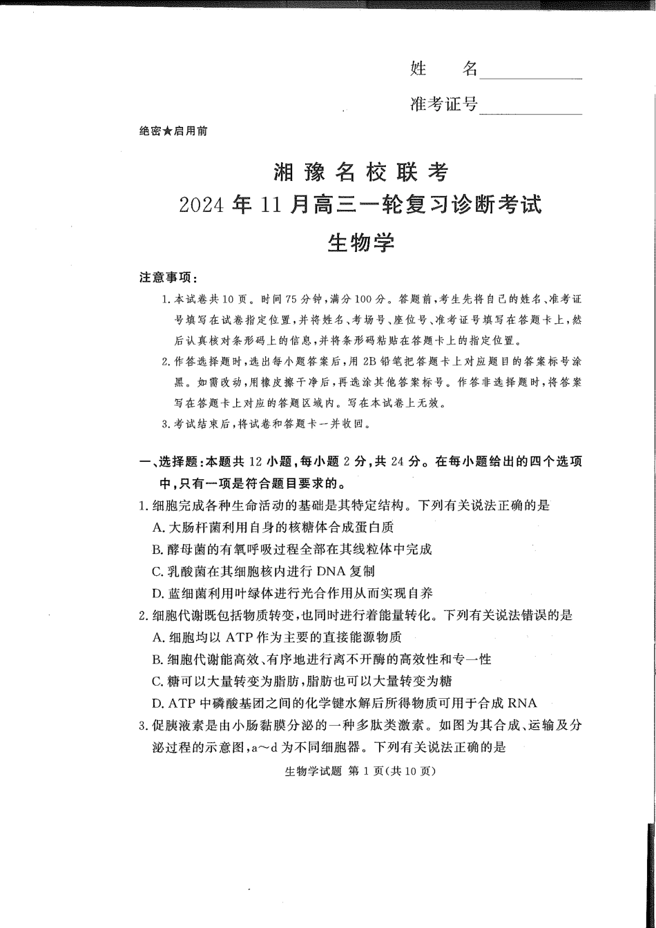 湘豫名校联考2024-2025学年高三上学期11月诊断考试生物试题_生物(1).pdf_第1页