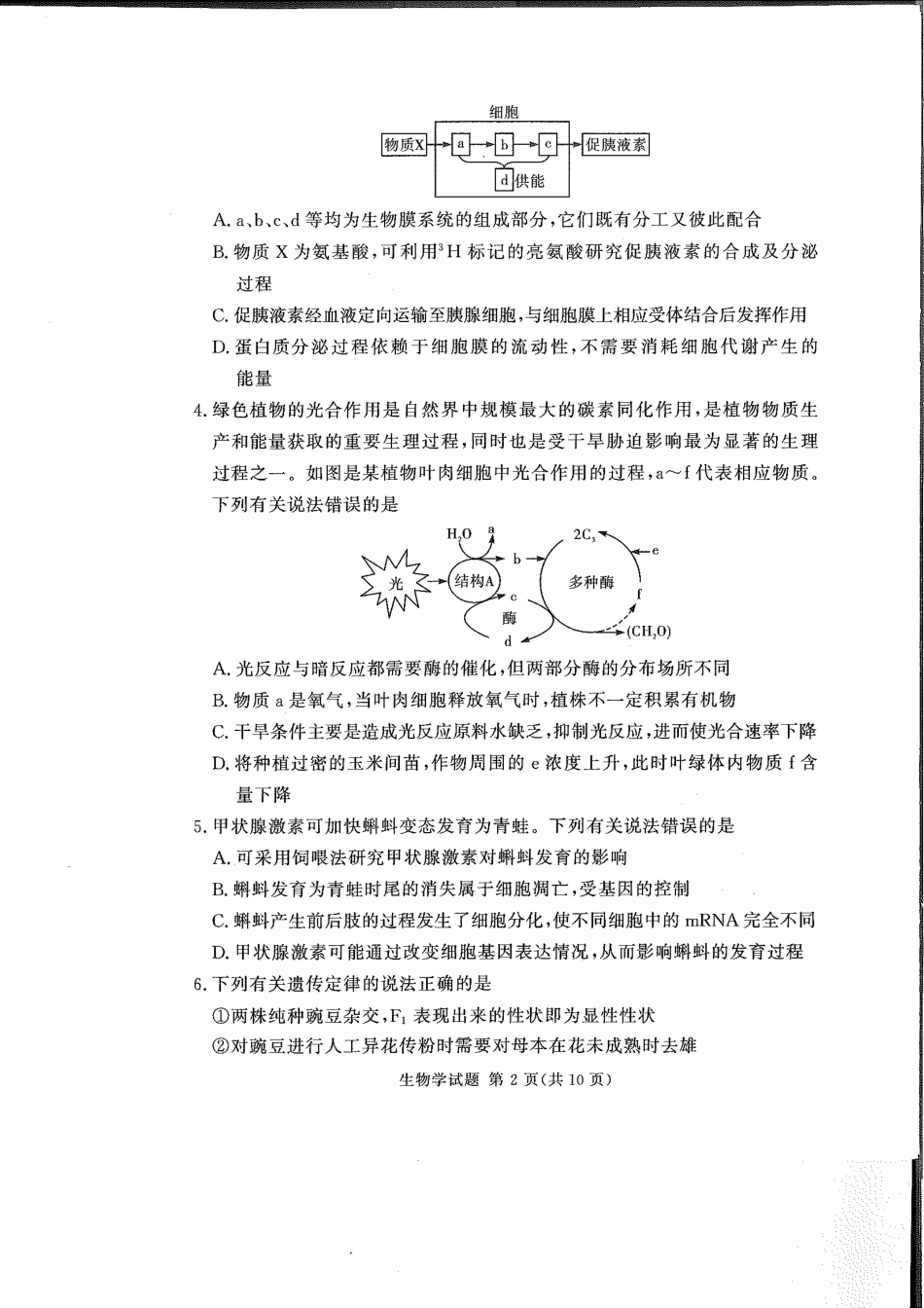 湘豫名校联考2024-2025学年高三上学期11月诊断考试生物试题_生物(1).pdf_第2页