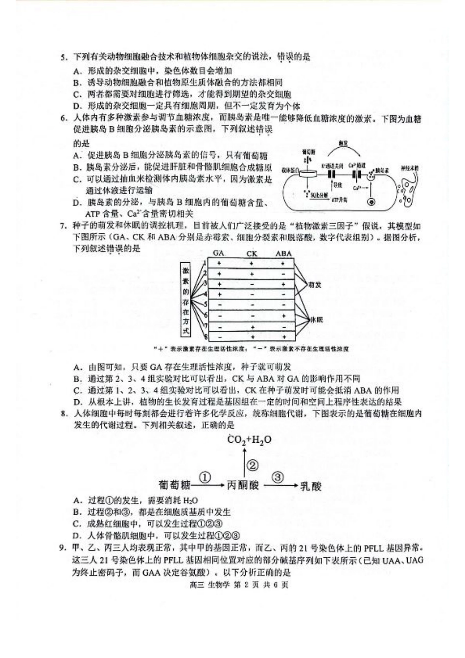玉林2025届高三一模生物试卷.pdf_第2页
