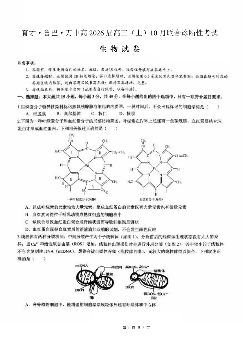 育才·鲁巴·万中高2026届高三（上）10月联合诊断性考试生物.pdf_第1页