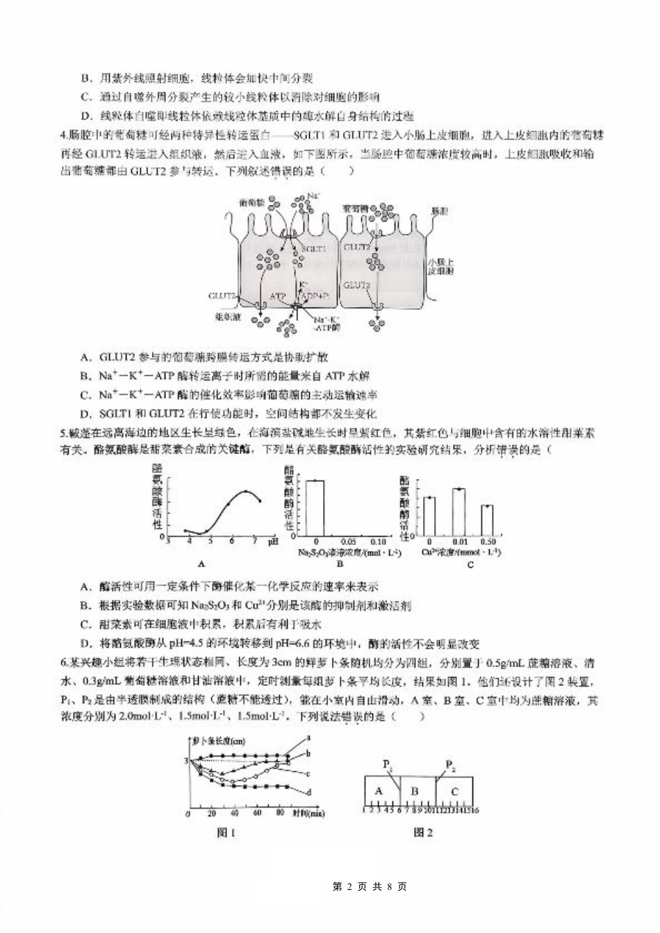 育才·鲁巴·万中高2026届高三（上）10月联合诊断性考试生物.pdf_第2页