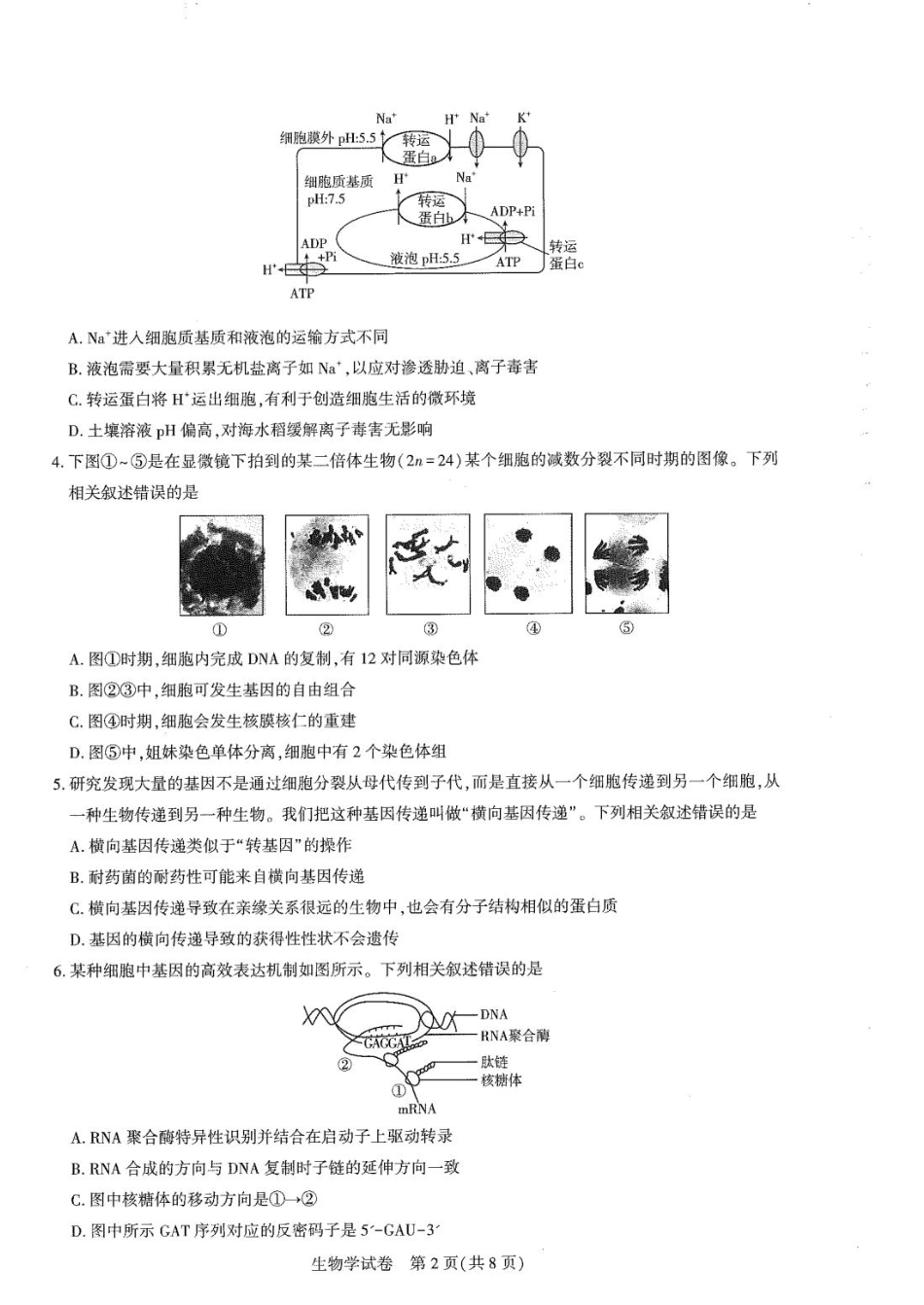 圆创高三11月联考生物试卷(1).pdf_第2页