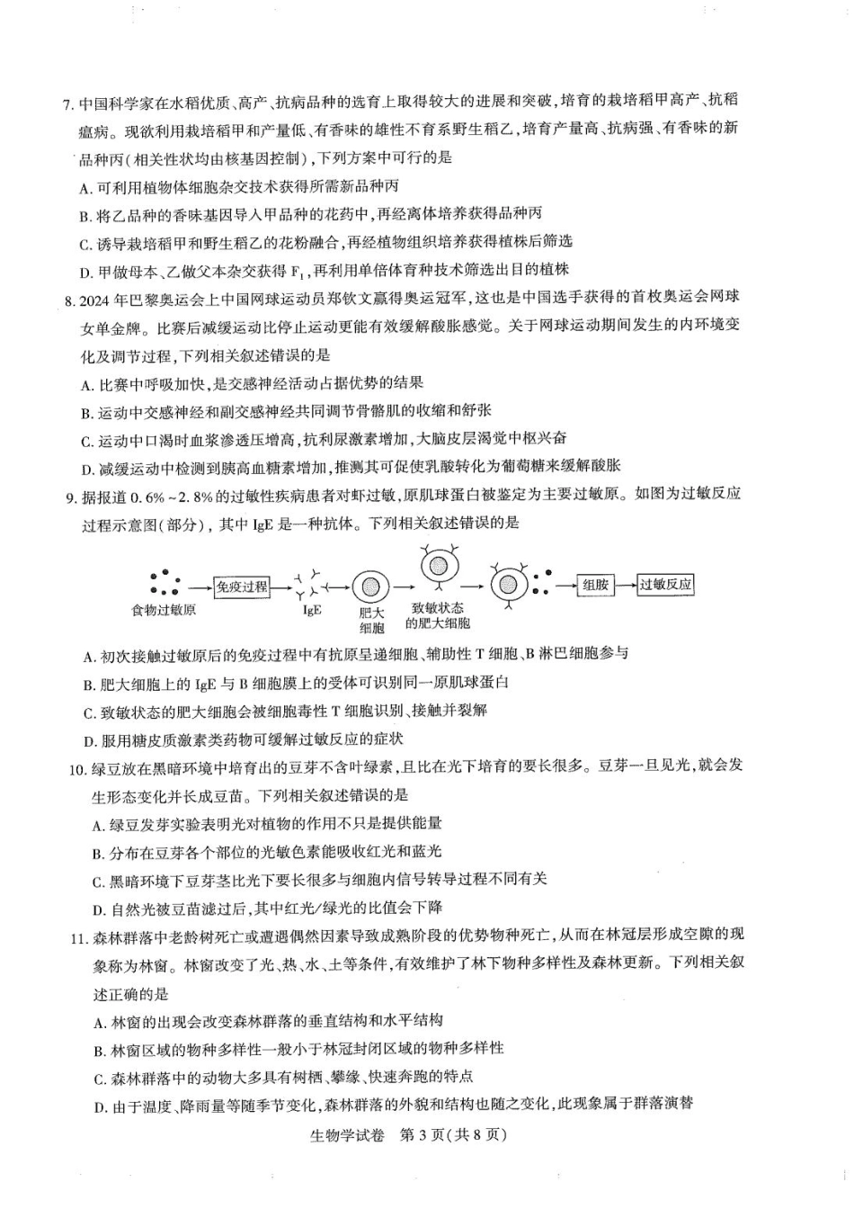 圆创高三11月联考生物试卷(1).pdf_第3页