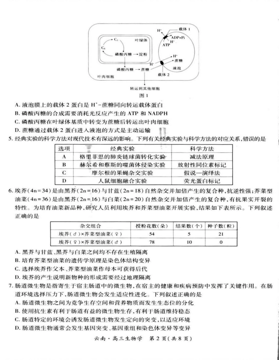 云南民族大学附属高级中学2026届高三上学期联考（一）生物试卷（含解析）.pdf_第2页