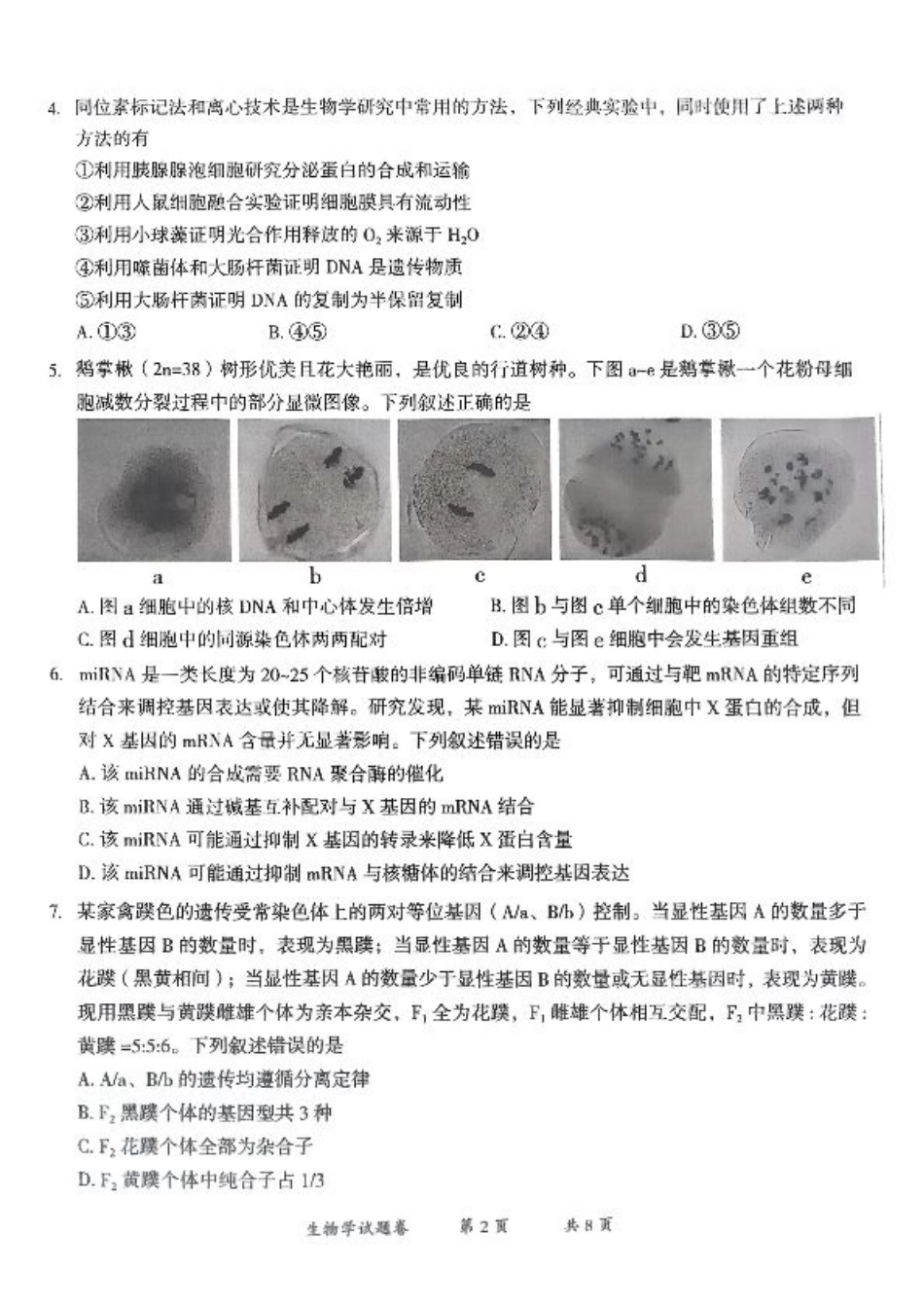云南省曲靖市2024-2025学年高三年级第二次教学质量监测生物.pdf_第2页