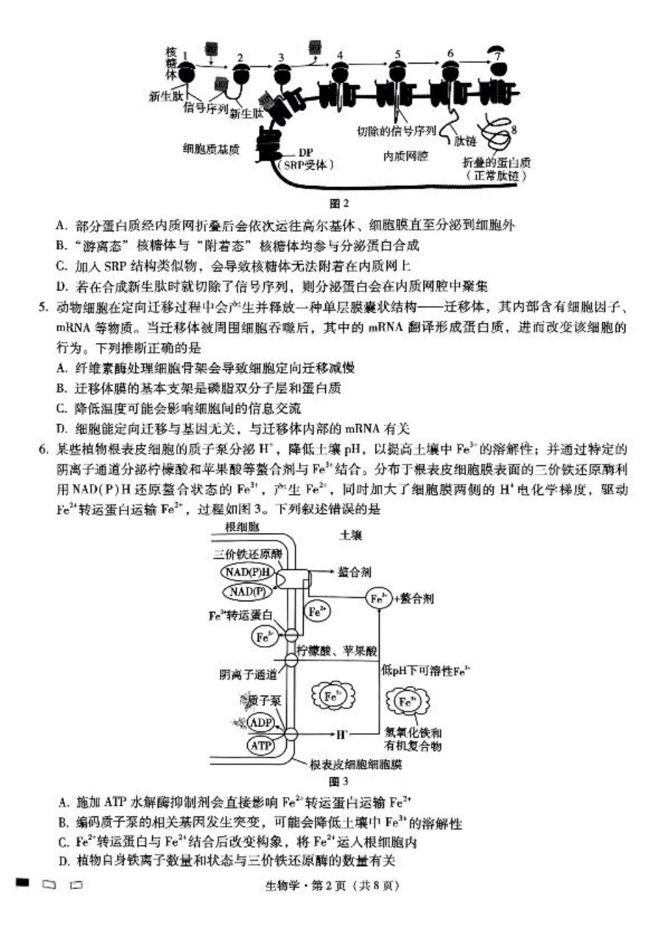 重庆巴蜀中学2025届高考适应性月考卷（二）生物.pdf_第2页