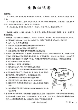 重庆巴蜀中学2025届高考适应性月考卷（二）生物.pdf