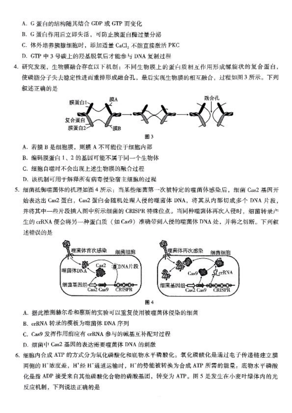 重庆巴蜀中学2025届高三12月适应性月考（四）生物.pdf_第2页
