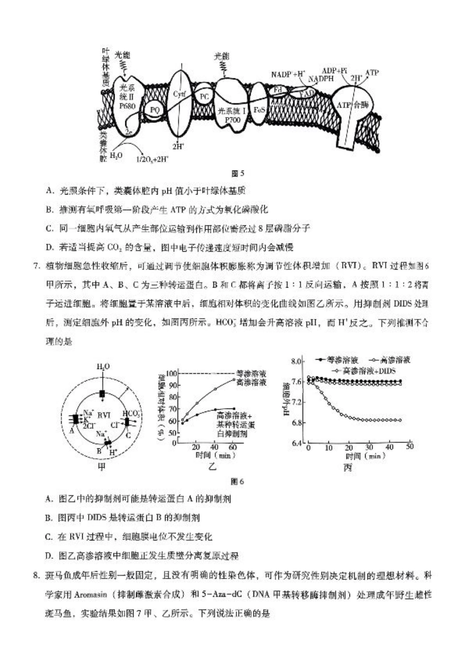 重庆巴蜀中学2025届高三12月适应性月考（四）生物.pdf_第3页