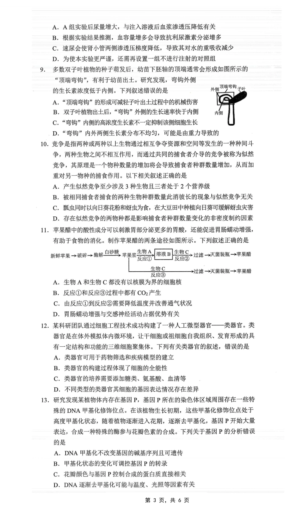 重庆市2025年普通高等学校招生全国统一考试康德调研（四）生物.pdf_第3页