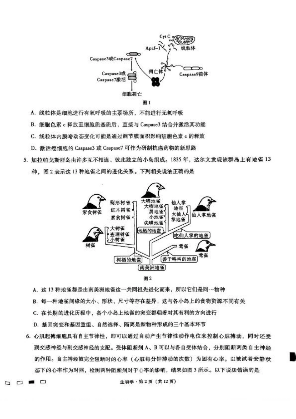 重庆市第八中学2025届高三3月适应性月考卷（六）生物.pdf_第2页