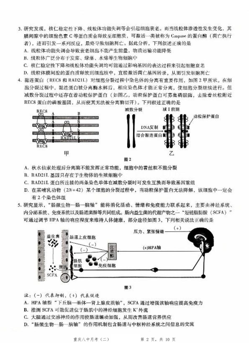 重庆市第八中学2026届高考适应性月考卷（二）（全科）_重庆八中（二）生物试卷.pdf_第2页
