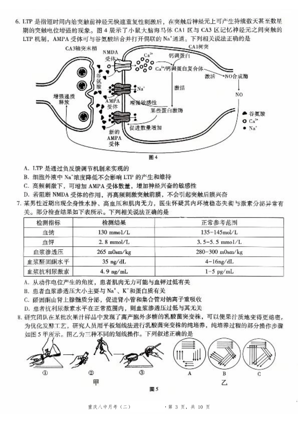 重庆市第八中学2026届高考适应性月考卷（二）（全科）_重庆八中（二）生物试卷.pdf_第3页
