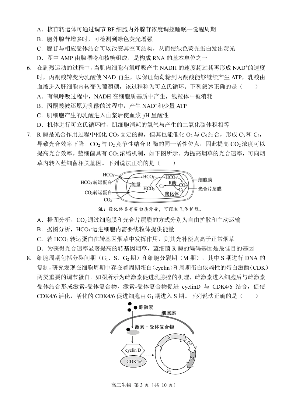 重庆市西南大学附属中学2024-2025学年高三上学期11月阶段性检测生物试卷 .pdf_第3页
